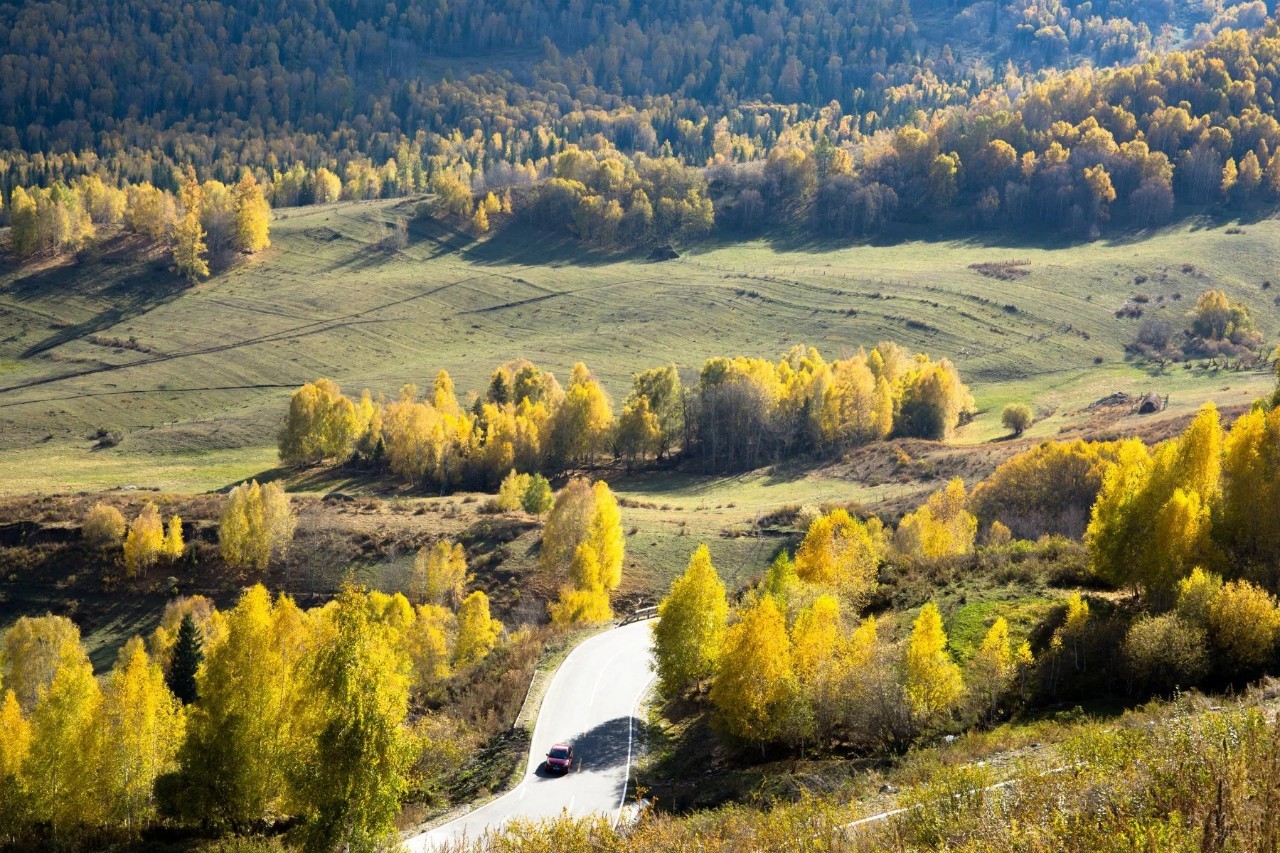 夕阳映照下的新疆草原美景